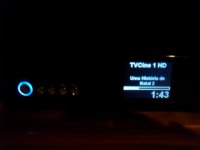 SAM_2637 (Small).JPG