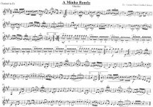 Clarinete in Eb.jpg