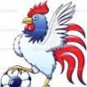 gallosat